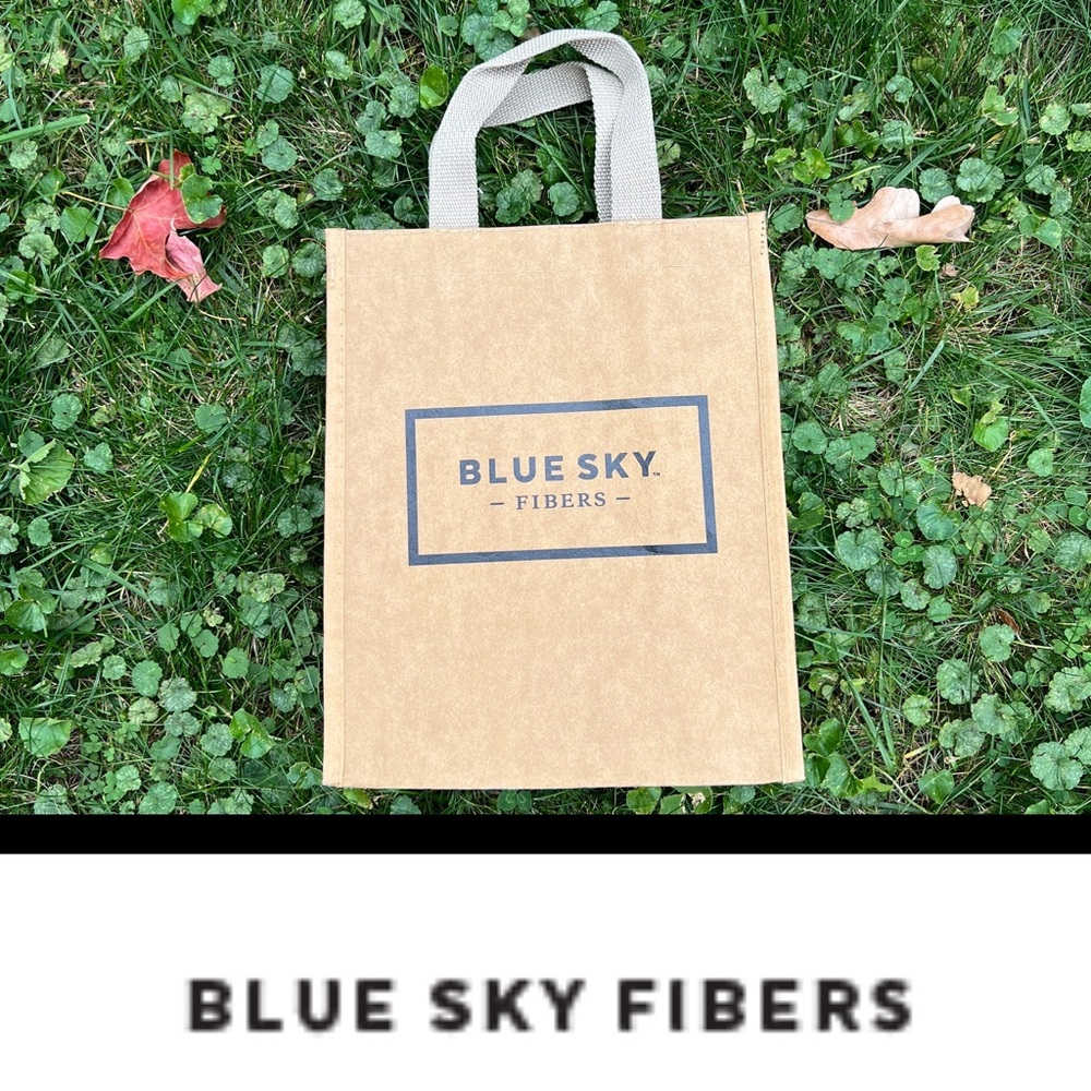 🛍️NWOT Tote Bag/Project Bag | Brown | American Ad Bag | Blue Sky Fibers | Small